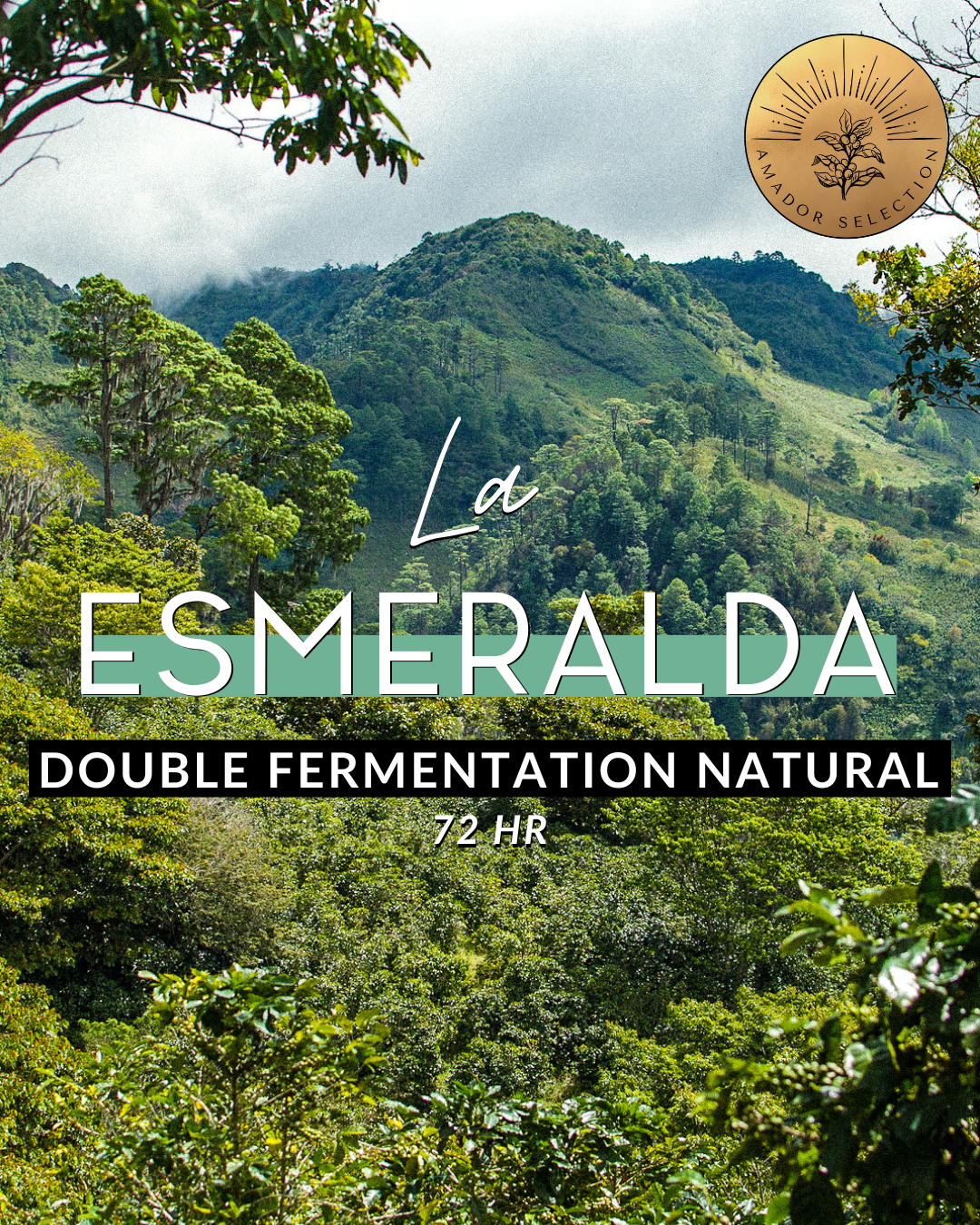 La Esmeralda: 72 HR Double Fermentation Natural — De La Finca